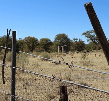 etosha fence Etosha fence upgrade in progress