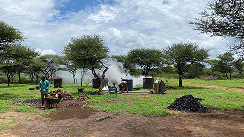Namibian exports to EU up
