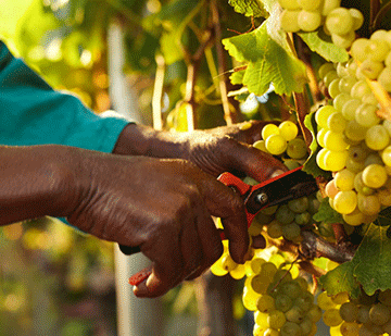 expo Mining expo to break new frontiers