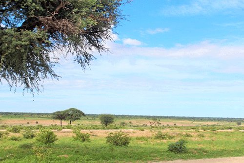 farm land1 Public warned against farmland grabbing
