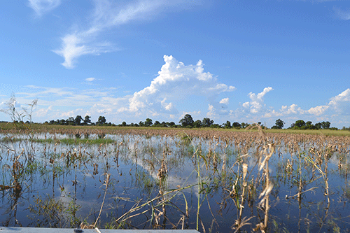 Drought-stricken farmers called to prepare crop fields …as rainy season looms