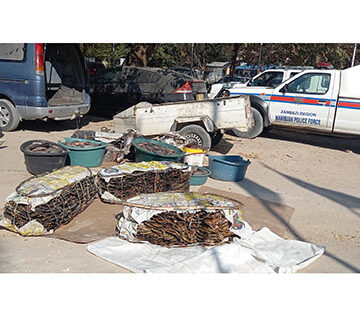 Five busted for illegally transporting fish