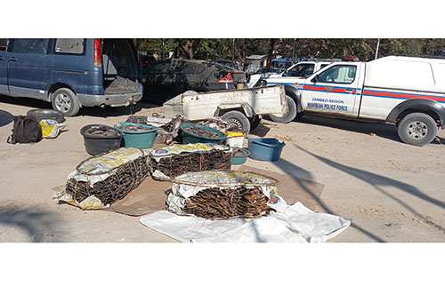 Five busted for illegally transporting fish