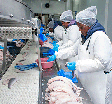 Namibia’s fish exports hit N$3.4 billion