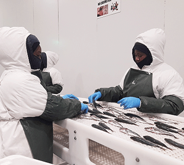 Fishcor-Mabasen marriage on the rocks