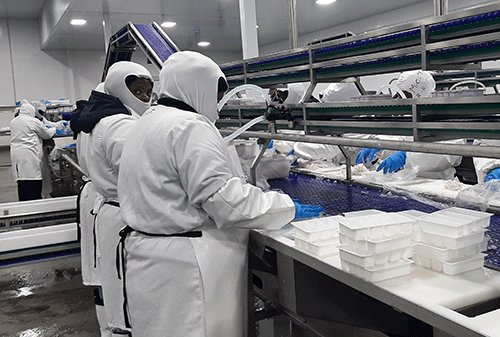 Fisheries needs N$51m for survey