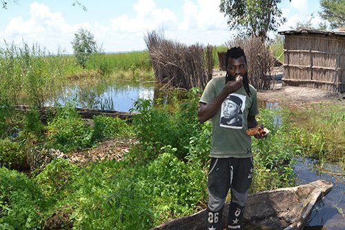 Zambezi floods a blessing in disguise