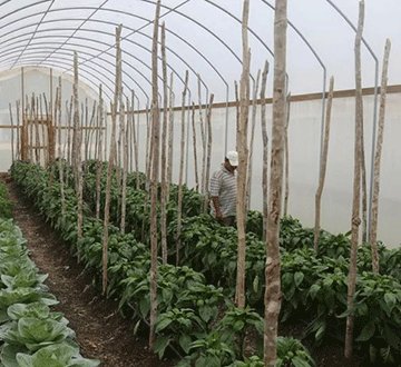 Higher food prices loom