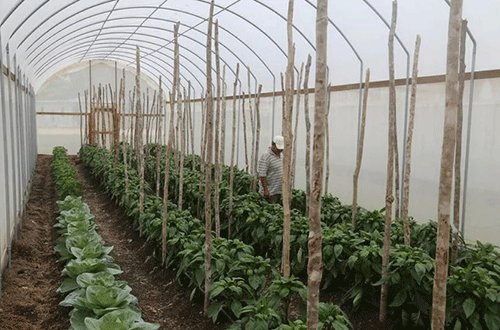 Higher food prices loom