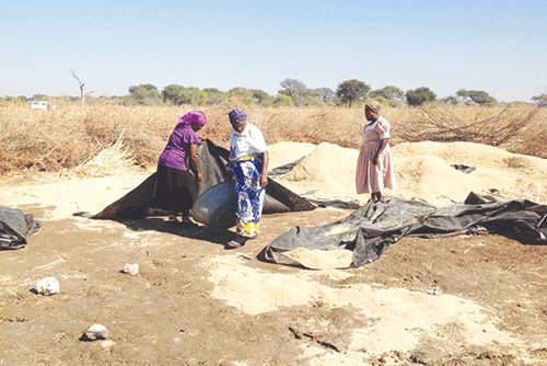 Venaani calls for agricultural modernisation