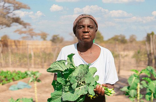 Capricorn and WFP to host food security workshop