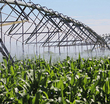 food security Food security is attainable – WFP