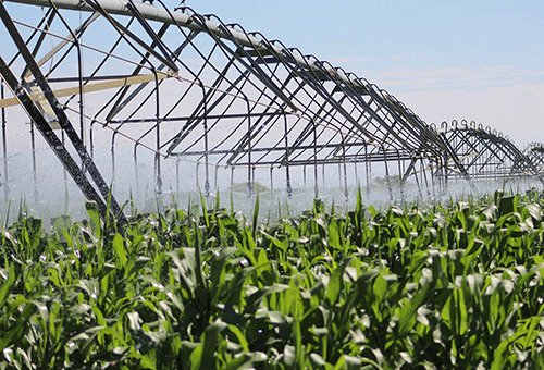 Food security is attainable – WFP