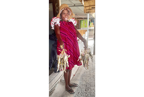 Frogs create jobs for northerners