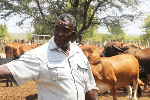 gam story 1 Million dollar winner flourishes as farmer