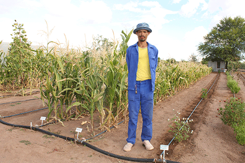 Ommamas garden grows vegetables, hope