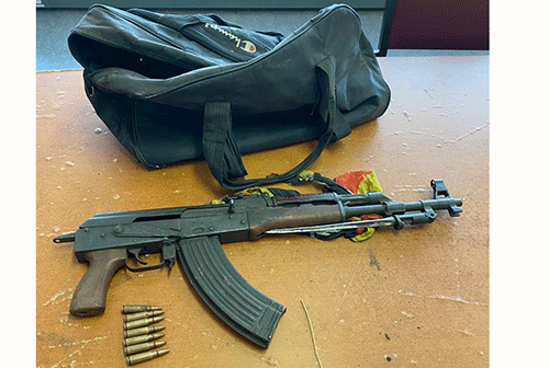 Grandson, traditional healer face murder charge