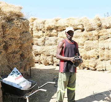 Jobless man finds success in harvesting grass