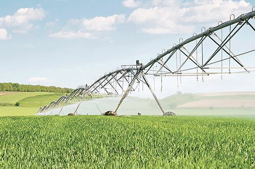 Green schemes’ time to shine