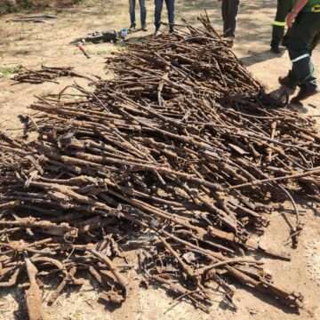 guns Oondjembo dha konda po1000 dha adhika dha fumvikwa moTsumeb