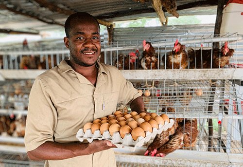 Haitula: Kavango West poultry king 