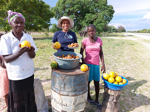 Sustainable harvesting kits for conservancies