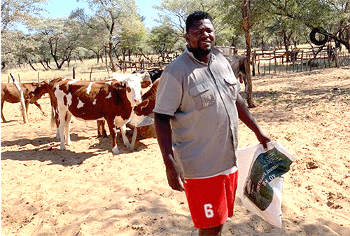 Simmentaler inspires farmer to break new  ground