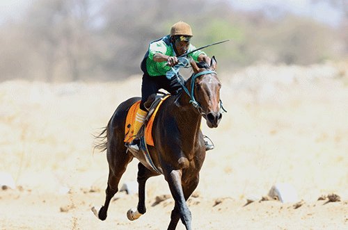 NHRA awards prize money to three horses in close-finish controversy