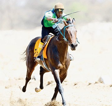 horse jpg 1 NHRA to pronounce winners after five days