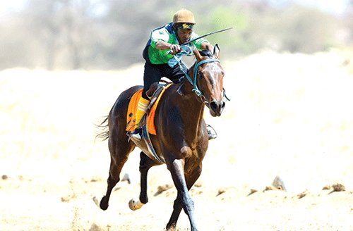 Okahandja Expo Derby this weekend… top horses to race