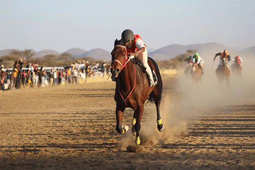 Legendary horses scoop top honours at July Winter Cup