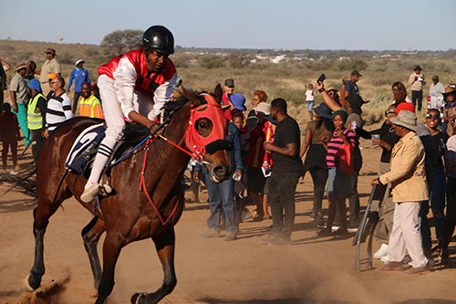 Able Surprise wins MTC Winter Cup