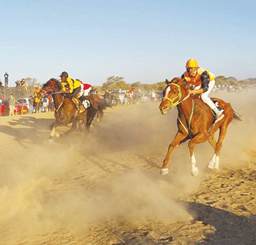 Starlile, Freedom Fighter dominance continues 