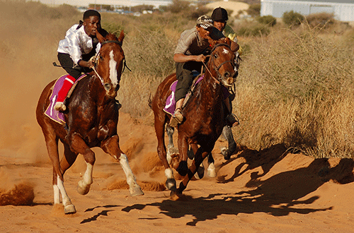 Top racehorses to grace Okahandja this weekend