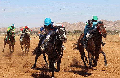 horses jpg Horseracing action at Okahandja tomorrow