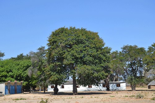 Sachinga gets community hostel to accommodate needy learners