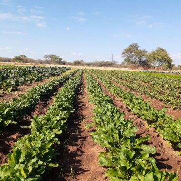 img 20221012 wa0047 A lesson from prison…how correctional services triumphed where others wavered