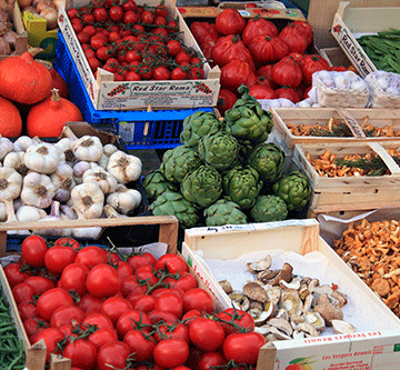 import Namibia, Botswana agri bans threaten South African jobs