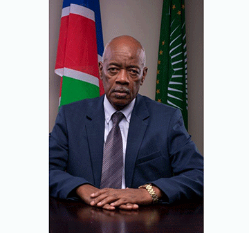 jaturua Jaturua Katjitundu: The bull in a china shop