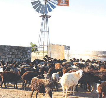 kharas 1 Natural resources should stimulate growth – Frederick