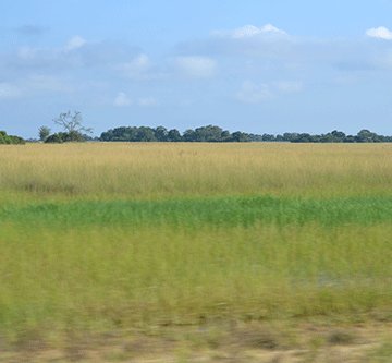 Zambezi’s land paradox