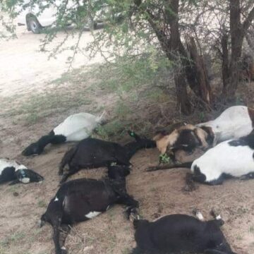 lightning 1 Oshiwana nashi xulife po okushingila oikombo koshi yomiti ngeenge odula tai loko