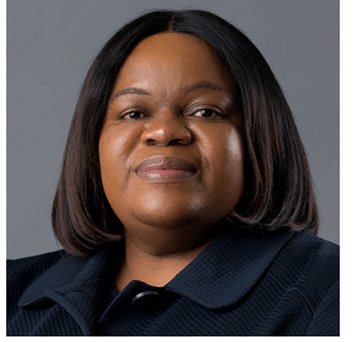 Visa system generates over N$413m  