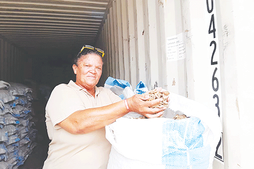Malamatwa a Zambezi a ukama Germany