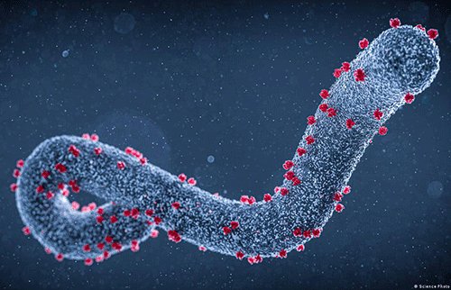 Namibia increases screening for Marburg virus