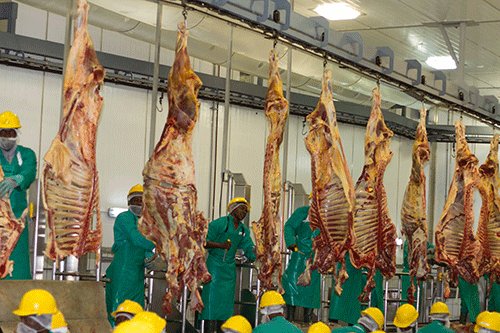 Farmers alarmed by Meatco sabotage talk…northern producers bemoan reputational damage