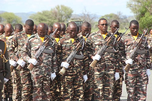 Likando wants more defence funding