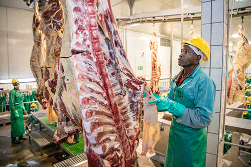 Ageing facilities, climate change disrupting Meatco