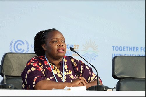 Opinion -Africa’s food security calls for action
