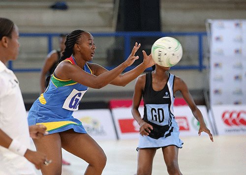 Our aim is to turn professional – /Goagoses
